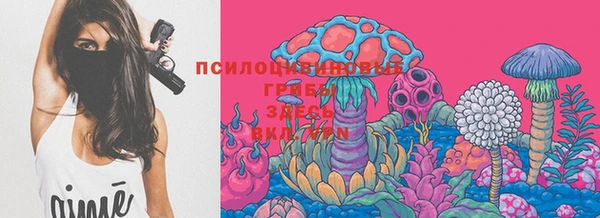 мет Белокуриха