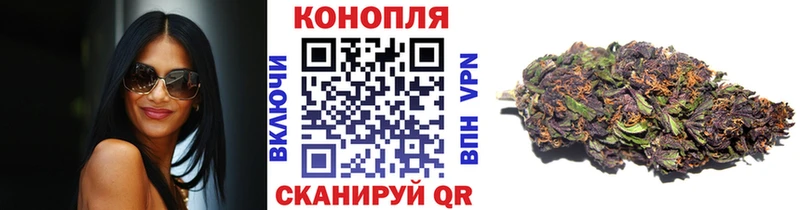 Марихуана SATIVA & INDICA  мега онион  Высоцк 